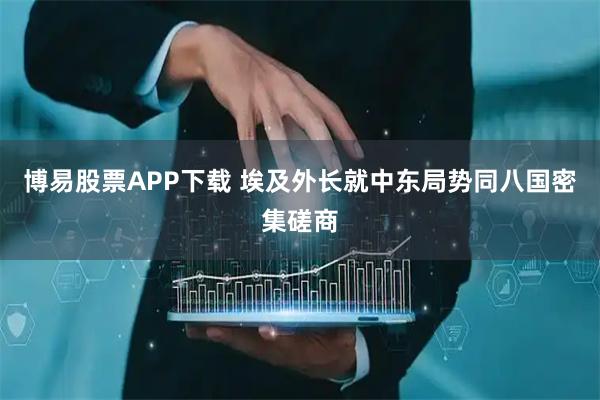 博易股票APP下载 埃及外长就中东局势同八国密集磋商