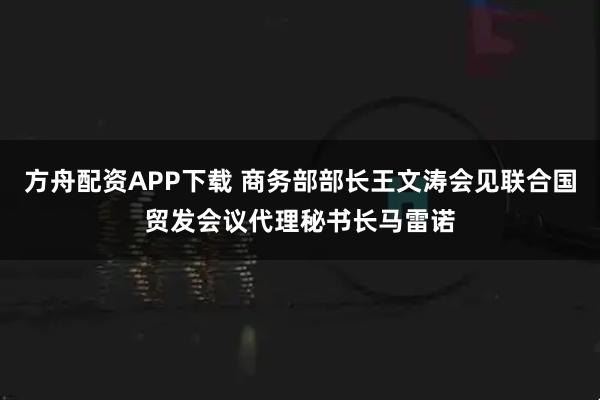方舟配资APP下载 商务部部长王文涛会见联合国贸发会议代理秘书长马雷诺